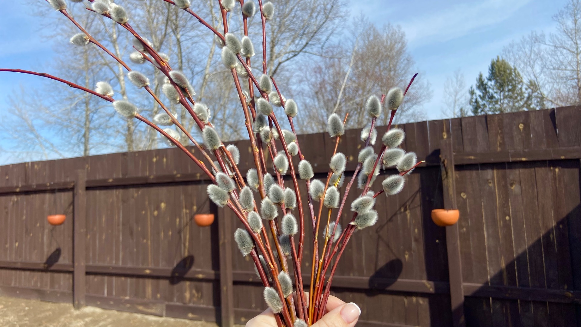 28 марта открываю грядки, обработка сада и первые посевы.