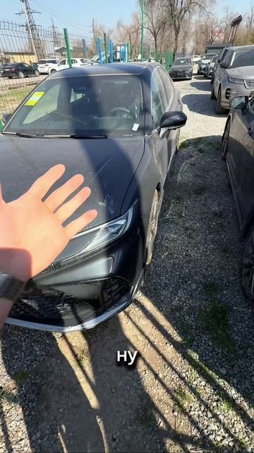 📲 Звоните нам: 8-800-333-05-32 или пишите в сообщения. Сделаем процесс покупки легким и приятным!