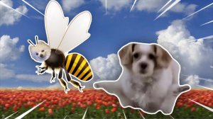 ЛЕГЕНДАРНЫЙ РЕМИКС ДОСТАЮЧАЯ ПЧЛЕКА КТО ПОБЕДИТ Ё МОЁ БЛИН БЛИНСКИЙ