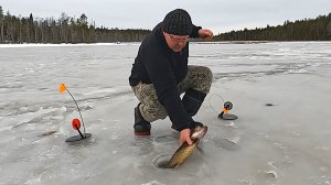 Рыбалка в Карелии. Рыбалка с ночёвкой на щучьем озере. Щука на жерлицы. Закрытие сезона?