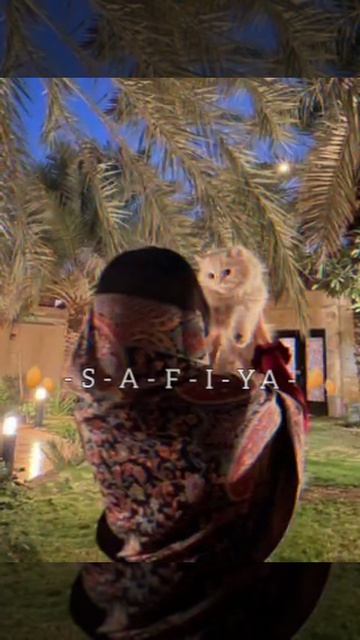 (цыганская песня) ашунын пэ зорысты шон лаеко ..🙃🙂🥀