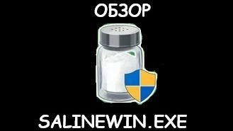 Обзор на вирус Salinewin-safety.exe