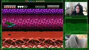 Дадим Жару! 숲