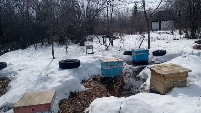 итоги беглого осмотра