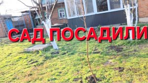 1142 Так делать Можно и Нужно.Что Привезли из города для  сада.