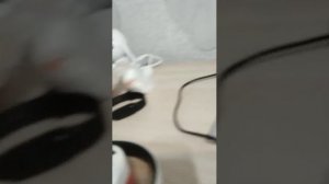 Разговариваю с другом