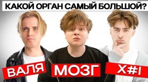 Кто из нас самый тупой? 
*постанова*