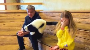 Настя работает няней для животных [get.gt]