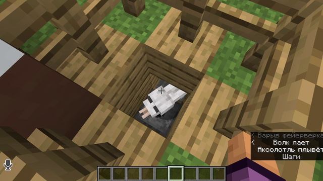 Игра с Dizomkoj! Minecraft 26.1 - обзор. Чат жёстко лагает, простите