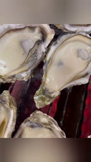 устрицы 🦪 на мангале