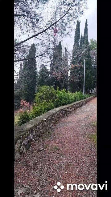 Алупка. Парк Годлевского