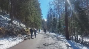 Заповедник Центральные Столбы. Национальный 
заповедник.Красноярск