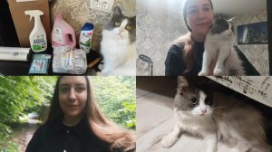 АРХИВ 2023 I первые 100 000 продаж 🔥 | но нет радости от результата 😔 | 29.06-01.07.2023