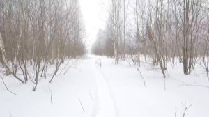 ОХОТА НА ТЕТЕРЕВА! ОХТА НА ЛУНКАХ! ВИДЫ И НЮАНСЫ ЗИМНЕЙ ОХОТЫ!