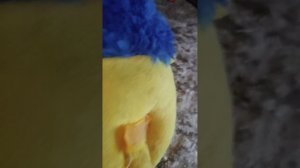 Хорошая полатка