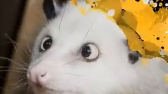 ВИА 