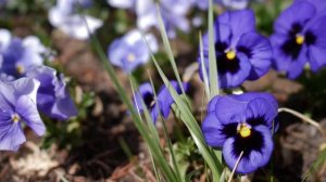 💕 Выходные созданы для ярких эмоций и новых свершений!