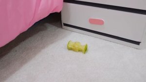 Влад и Ники. Дети учатся правильно питаться - Полезные истории для детей