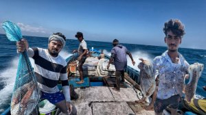 Приключение в глубоком море | Ловим неуловимую 🦑кальмара!