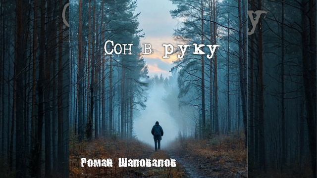 "Прибавь ка, Женька газу" - Шаповалов Роман Юрьевич (альбом "Сон в руку")