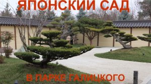 Чудо парка Галицкого - ЯПОНСКИЙ САД.