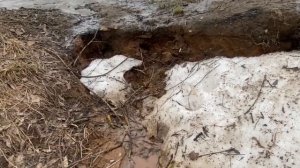 Весна в Москве. Прогулка по Строгино.