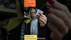 Горшки для суккулентов и не только