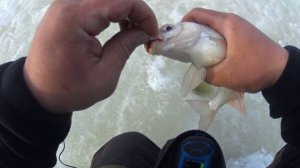 ЗИМНИЙ СЕЗОН ЗАКРЫЛ