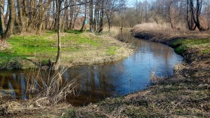 Навожу порядок в прибрежной зоне  дачи.Разбиваю новый миксбордер🌱🪻🌞