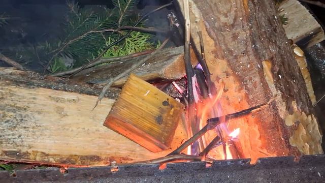 Разжигаем костёр из плесневелых досок.