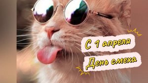 С 1 апреля День смеха Музыкальное видео поздравление