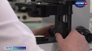 Вести Севастополь. Итоги недели. 29 марта 2026 года