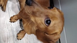 Делаем жареную картошку и суп