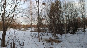 Ловля птиц 29.03.2026.