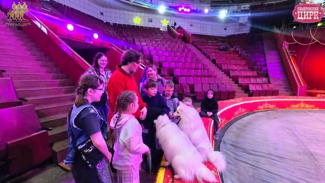 Цирк, который можно услышать!