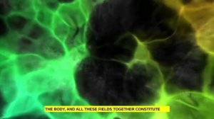 Магнитное поле манипулирует всем