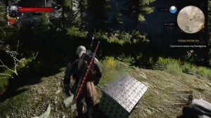 Ведьмак 3: [ПРОХОЖУ ВПЕРВЫЕ] Сюжет и побочки.