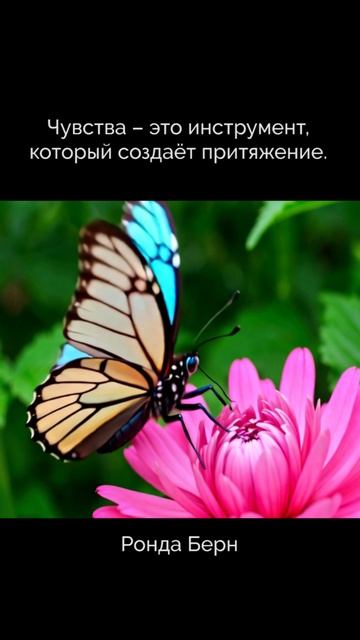 Мудрость мысли. Чувства — твой магнит