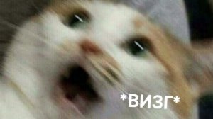 VurtuёZZZa 44к pepe watafa