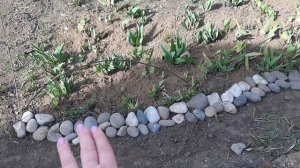 На даче наконец-то провели воду в огород. На первое время.