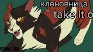 |•|Take it off|•|🍁 Кленовница🍁Коты воители клип мой