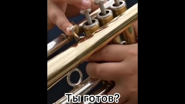 ДМШ имени Н.П.Осипова труба