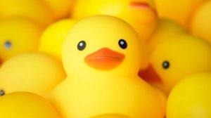 не смотреть