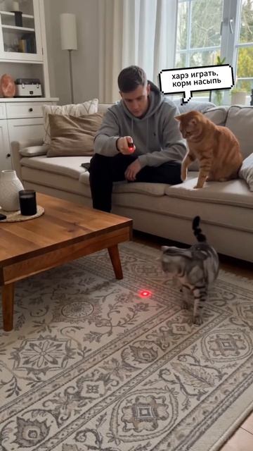 Рыжий обломщик 😹