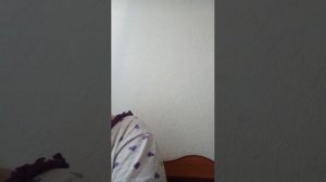 обсуждение моих старых друзей и знакомых