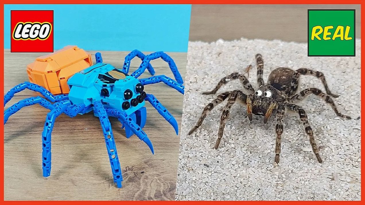 LEGO паук Тарантул против Настоящего паука Тарантула