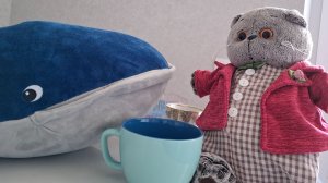 КОТ БАСИК. Шоу Кота и Кита. Выпуск 1.