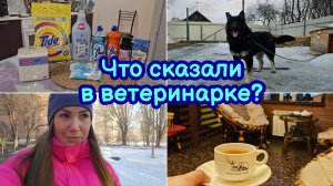 ЧЕКАП ДЛЯ ШУСТРИКА | МОЙ ПОМОЩНИК | СИАМ | СХОДИЛИ В КИНО | ОБЗОР ПОКУПОК | НОВИНКИ В ГАЛАМАРТ