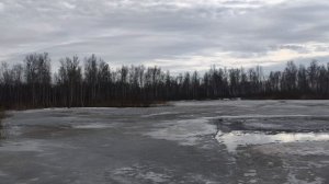 день в СНТ 4