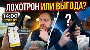 ВЫШЕЛ В 14:00 VS РЫБАЛКА В ТАКСИ: Режим Гибкий — это лохотрон или золотая жила?